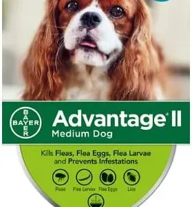 Advantage II For Medium Dogs 11-20 lbs, 12 Pack