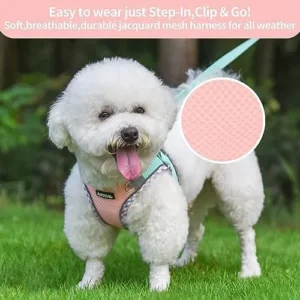 AIITLE Durable Dog Harness and Leash Set for Walking, Step in Vest Harness, Reflective Bands, Soft Breathable Pet Supplies, for Extra Small Dogs and House Cats Turquoise-Pink XXXS