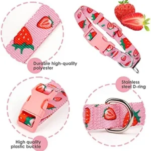 azuza Dog Collar and Leash Set Strawberry Pattern on Pink Nylon Collar and Matching Leash, Great Option for Small Dogs