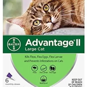 Bayer Advantage II Flea Prevention for Large Cats 6 Doses, 6 Months Supply 2 Pack Bundle