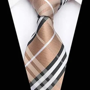 BESMODZ Men’s Lot 6 PCS Classic Zipper Ties Pretied Solid Color Necktie Set