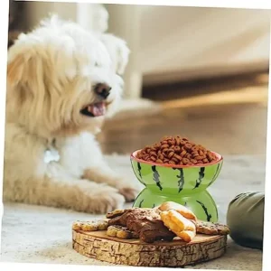 BUGUUYO Pet Ceramic Bowl Wide Cat Bowl Cat Feeding & Watering Supplies Lifted Cat Bowl Water Feeder Bowl Cat Slow Feeder Containers for Fruit Dog Supplies Ceramics Cervical Spine Pet Plate