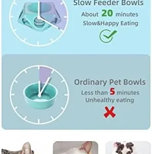 Ceramic Slow Feeder Cat Bowls Fun Interactive Feeder,Healthy Slow Feeder for Cat (Turquoise)