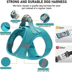 Dog Harness and Leash Set,Step in Dog Vest Harness for Cat and Puppy, Reflective Pet Harness No Pull for Small Dog,Medium Dog,Kitten and Rabbit,Breathable Mesh(Blue,L)