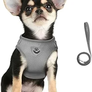 FEimaX Dog Harness and Leash Set for Walking, Soft Mesh Adjustable Easy Control Lightweight Cat Vest Harnesses with Reflective Strips, Escape Proof Small Dogs Cats Vests (Grey, X-Small)