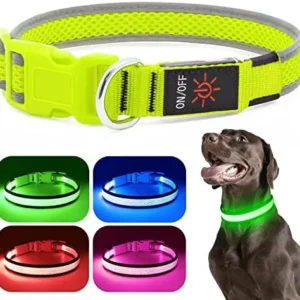 Flashseen LED Dog Collar, USB Rechargeable Light Up Dog Collar Lights, Adjustable Comfortable Soft Mesh Safety Dog Collar for Small, Medium, Large Dogs(Large, Neon Green)