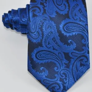 Geotae Zerun New Classic Solid Pailsey JACQUARD WOVEN Silk Men’s Tie Necktie