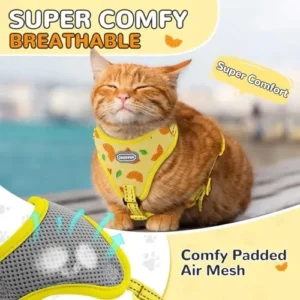 GoGoPaw Cat Harness and Leash Set, Soft Kitten Harness Breathable Cute Mesh Cat Harness Escape Proof for Walking, Adjustable Reflective Cat Vest Harness for Large Small Cat Kitten Puppy(Orange, S)