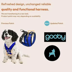 Gooby Comfort X Head in Harness – Blue, Small – No Pull Small Dog Harness, Patented Choke-Free X Frame – Perfect on The Go Dog Harness for Medium Dogs No Pull or Small Dogs for Indoor and Outdoor Use