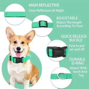 Maiiu Reflective Dog Collar with Safety Locking Buckle, Adjustable Soft Breathable Nylon Collars for Small, Medium and Large Dogs(Collar+Leash XS Width 5/8″ Turquoise)