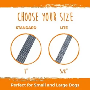 Mighty Paw Double Dog Leash – Perfect for Small and Large Dogs – Adjustable Length – Customize for Dogs – Reflective Stitching for Increased Visibility – Universal Connection to Work with Any Leash