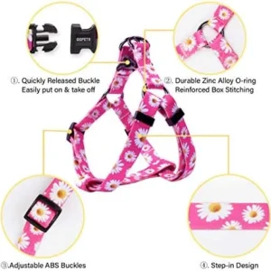 QQPETS Dog Harness Leash Set Adjustable Heavy Duty No Pull Halter Harnesses for Small Medium Large Breed Dogs Back Clip Anti-Twist Perfect for Walking (XS(12″-18″ Chest Girth), Daisy)