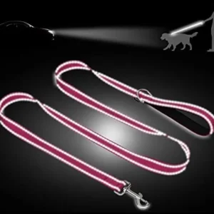 Taglory Dog Leash for Small Dogs | Double-Sided Reflective | Soft Neoprene Padded Handle | 3/4 inch by 4 ft | Fit Small Medium Large Breeds Dogs Under 20lbs | Hot Pink