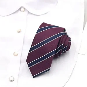 Xiaokeis Classic Academic Style Men’s Red+Blue Striped Tie Necktie, College Daily Woven Neckties, Men’s Modern Striped Patterned Ties for School Daily Wear, Casual, Party, Church, Wedding(Red+Blue)