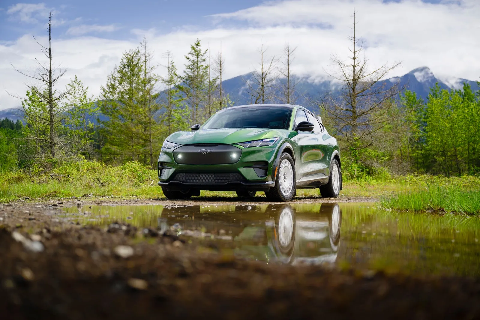 2024 Ford Mustang Mach-E Rally First Drive: Price, Specs, Availability